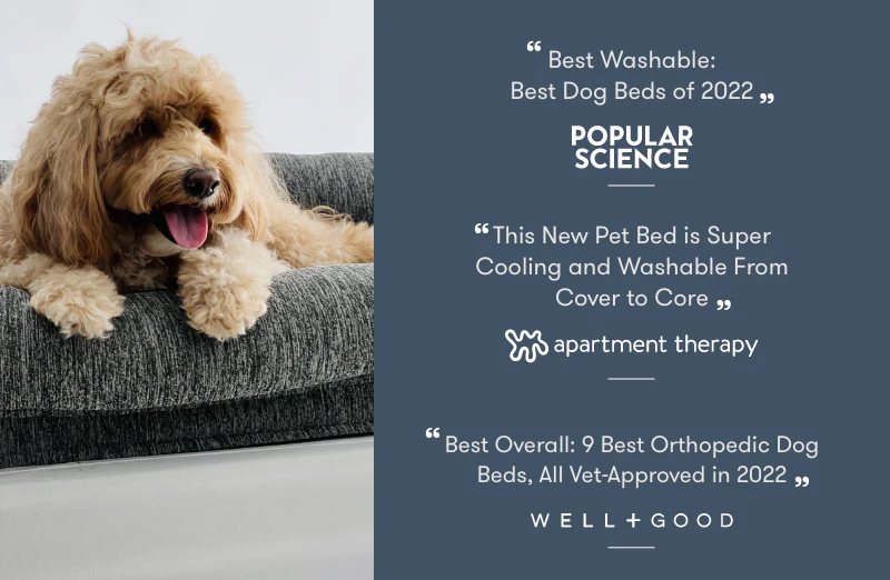 Washable & Orthopedic Pet Bed - Image 30