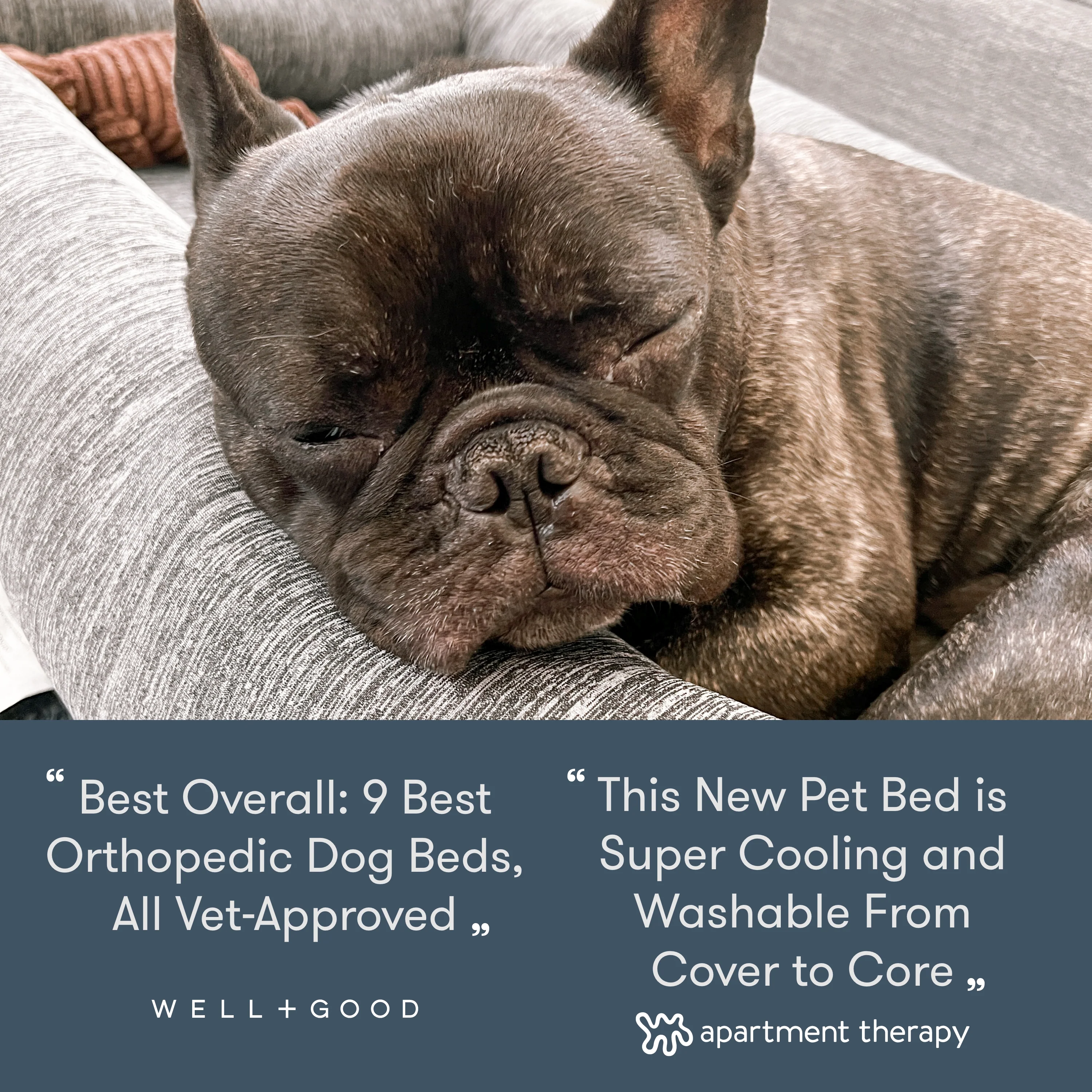 Washable & Orthopedic Pet Bed - Image 9